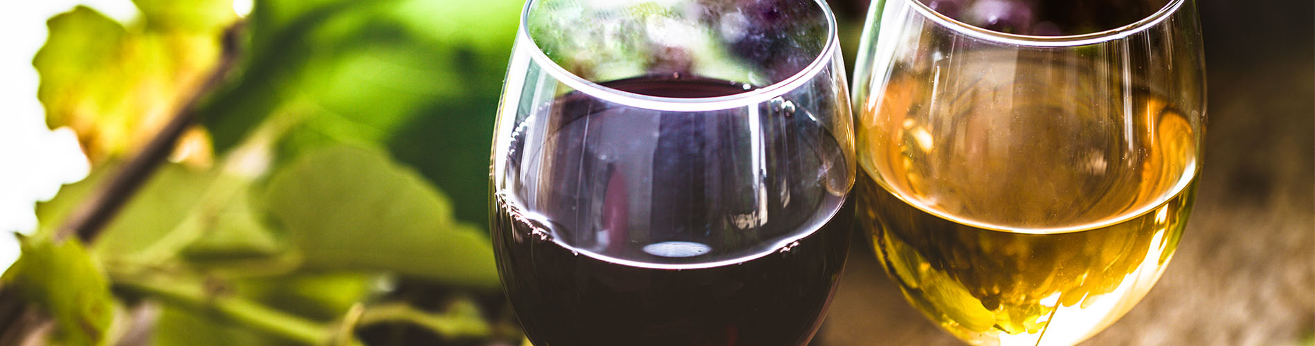 A wine glass with red wine and a wine glass with white wine